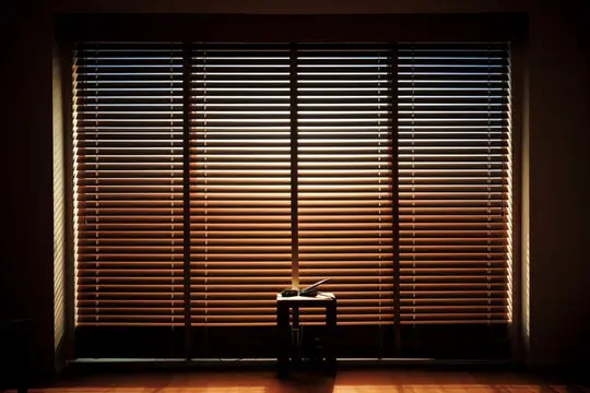 Office Blinds